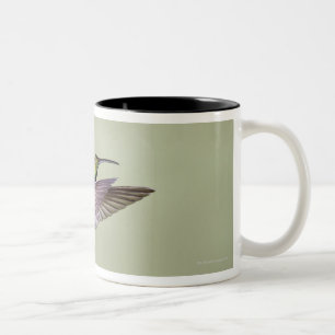 Tasse 2 Couleurs Colibri Vert-breasted Anthracocorax 2 de mangue