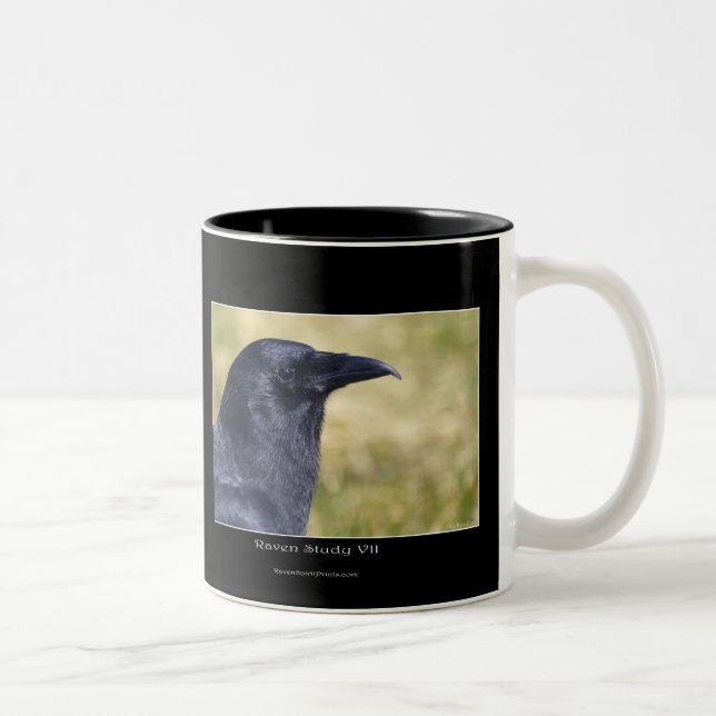 Tasse 2 Couleurs Collection RAVEN STUDY (Droit)