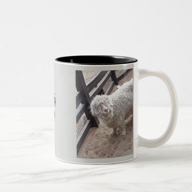 Tasse 2 Couleurs Complètement de la laine (Droit)