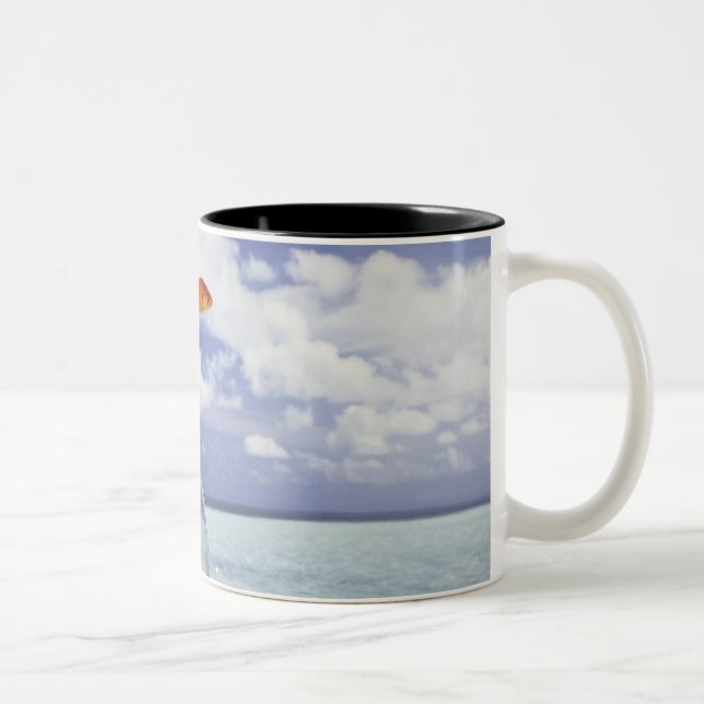 Tasse 2 Couleurs Composition en Digitals (Droit)