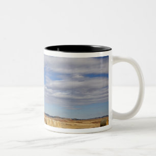 Tasse 2 Couleurs Comté de Crook, Balles de foin
