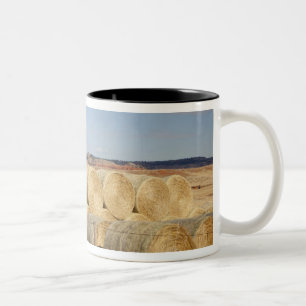 Tasse 2 Couleurs Comté de Crook, Balles de foin