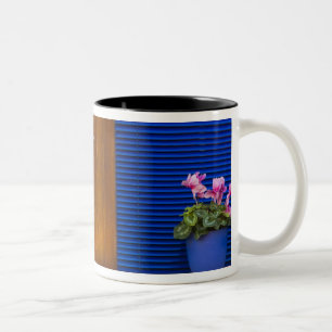 Tasse 2 Couleurs Contraste de design coloré sur la résidence