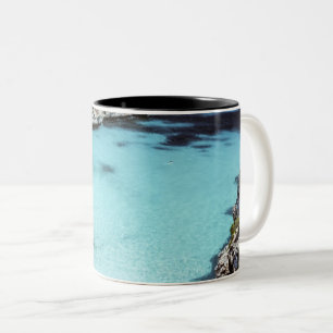 Tasse 2 Couleurs Cool Seascape