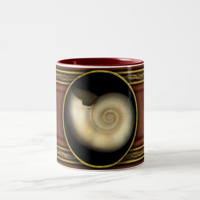 Tasse 2 Couleurs Coquille - Conchologie - Nautilus (Centre)