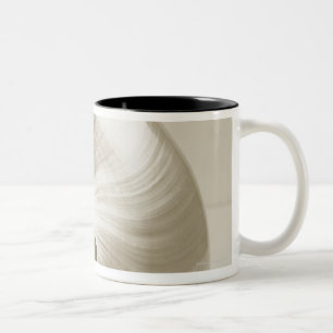 Tasse 2 Couleurs Coquille Pearlised de mer de nautilus