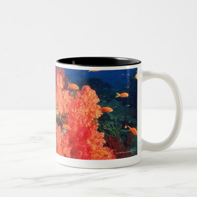 Tasse 2 Couleurs Corail et poissons (Droit)