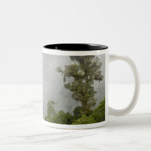 Tasse 2 Couleurs Costa Rica, forêt nuageuse dans les montagnes près