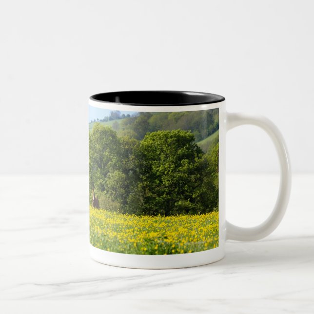 Tasse 2 Couleurs Cotswolds, R-U (Droit)