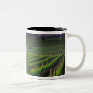Tasse 2 Couleurs Couleur du lever de soleil dans le brouillard loin
