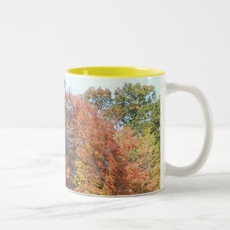 Tasse 2 Couleurs Couleurs de chute
