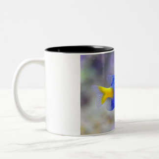 Tasse 2 Couleurs Coupe avec Lucky Fish