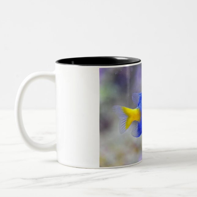 Tasse 2 Couleurs Coupe avec Lucky Fish (Gauche)