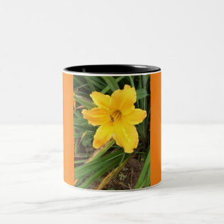 Tasse 2 Couleurs Coupe Lilly