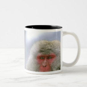 Tasse 2 Couleurs Couple de singes des neiges, Macaque japonais,