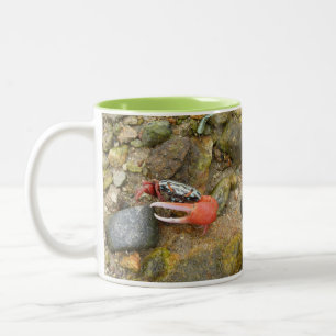 Tasse 2 Couleurs Crabe de Beach Fiddler