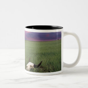 Tasse 2 Couleurs Crâne de buffle dans l'herbe de prairie près de Me