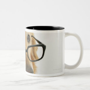 Tasse 2 Couleurs Cravate et verres de port de chien se reposant sur