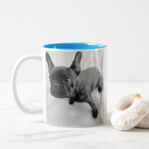 Tasse 2 Couleurs Créez votre propre photo d'animal de compagnie N