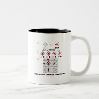 Tasse 2 Couleurs Crise à travers une génération (Carré Punnett)