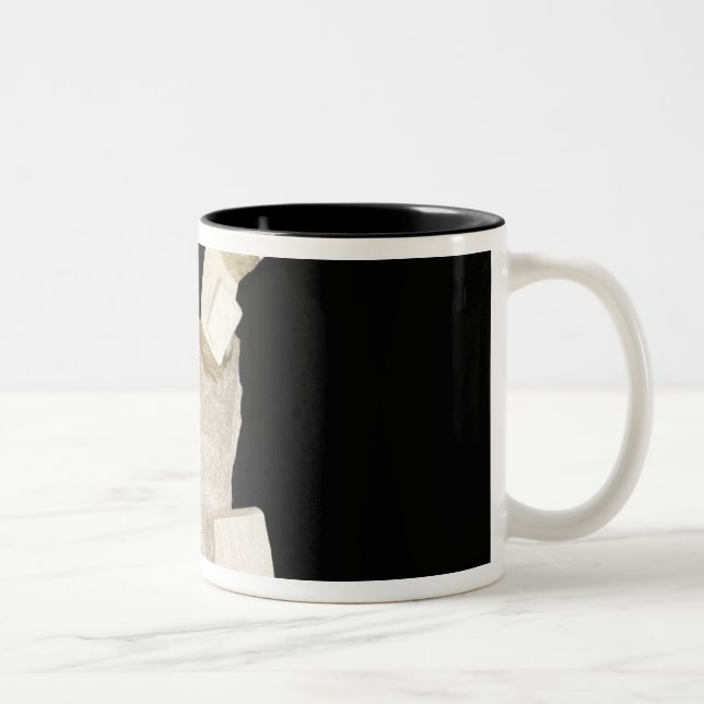 Tasse 2 Couleurs Cristaux de pyrite en schiste (Droit)