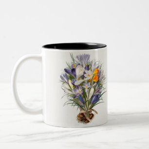 Tasse 2 Couleurs Crocus Spring Flower Botanique Floral Art