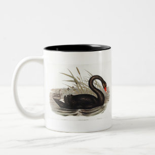 Tasse 2 Couleurs Cru de cygne noir