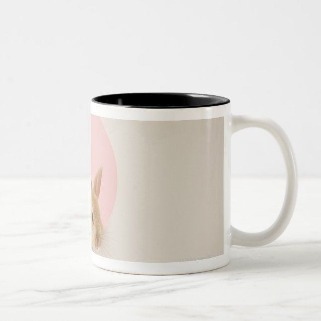 Tasse 2 Couleurs Cuniculus 3 d'Oryctolagus (Droit)