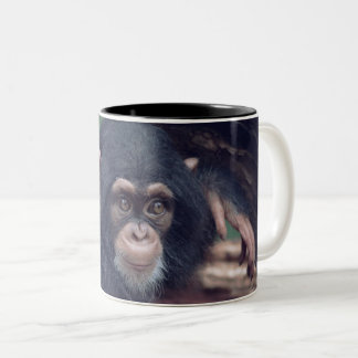 Tasse 2 Couleurs cute baby Chimpanzee