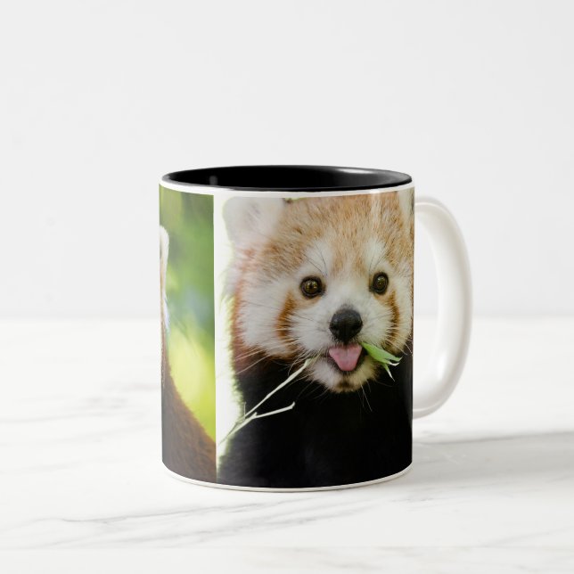 Tasse 2 Couleurs Cute Red Panda Portrait (Devant droit)