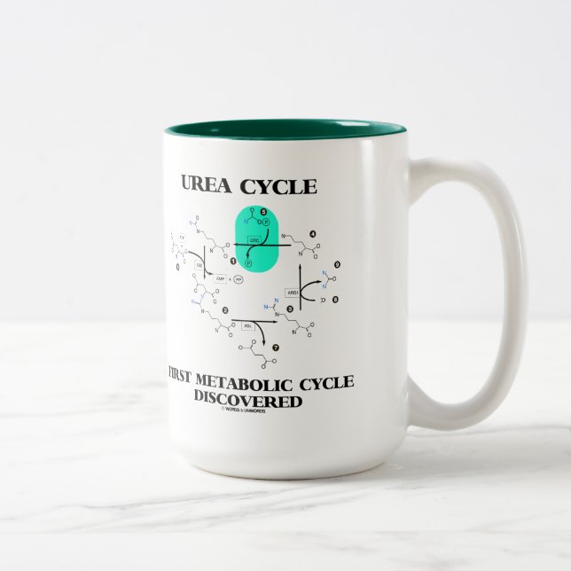 Tasse 2 Couleurs Cycle métabolique de cycle d'urée premier (Droit)