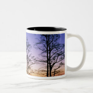 Tasse 2 Couleurs Cyprès chauve en silhouette au coucher du soleil,