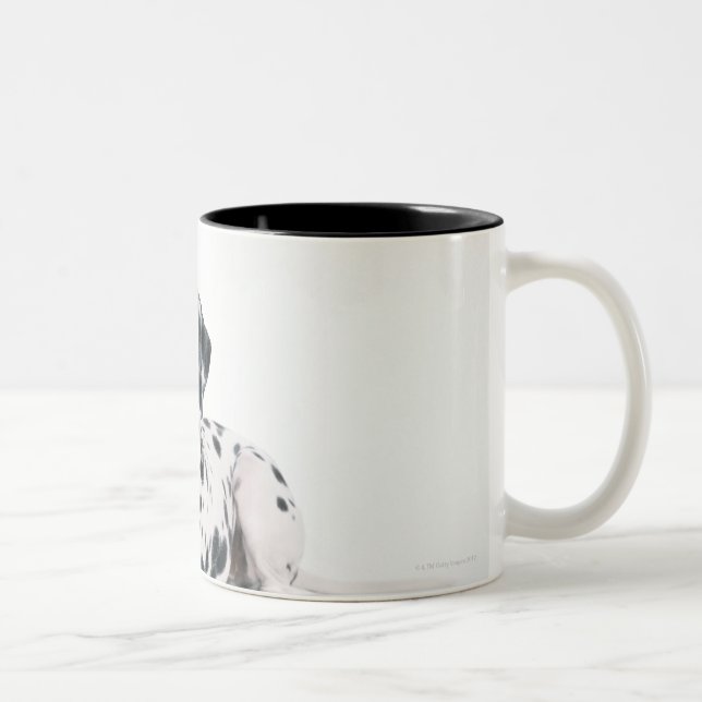 Tasse 2 Couleurs Dalmate 4 (Droit)