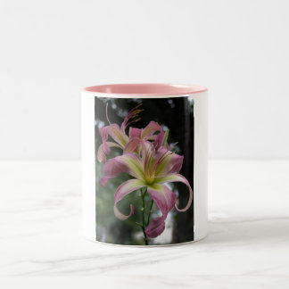 Tasse 2 Couleurs Danseur de vent du nord