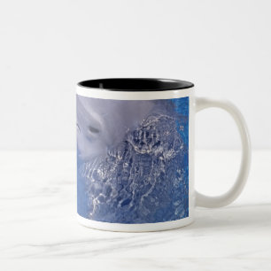 Tasse 2 Couleurs Dauphin à gros nez, Tursiops Truncatus