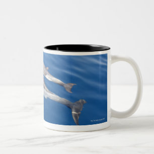 Tasse 2 Couleurs Dauphin commun dans le détroit