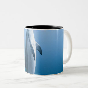 Tasse 2 Couleurs Dauphin de mer mignonne