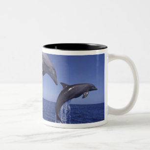 Tasse 2 Couleurs dauphins à gros nez des Caraïbes