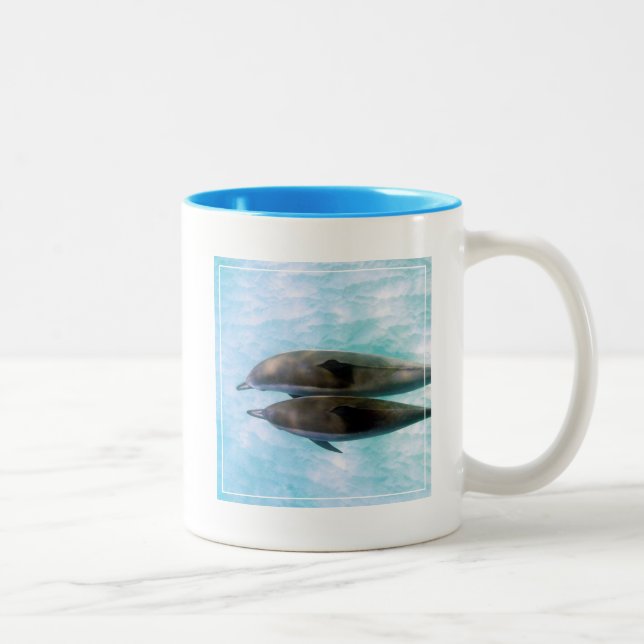 Tasse 2 Couleurs Dauphins de fileur | Oahu Hawaï (Droit)
