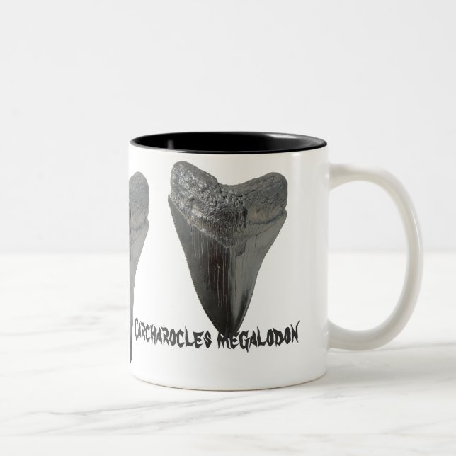 Tasse 2 Couleurs Dent de megalodon de Carcharocles (Droit)