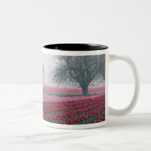 Tasse 2 Couleurs Des tulipes rouges et roses accueillent la journé