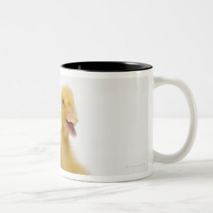 Tasse 2 Couleurs Deux canards avec des oeufs de pâques