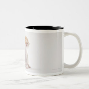 Tasse 2 Couleurs Deux chatons embrassant sur le fond blanc