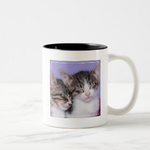 Tasse 2 Couleurs Deux chatons mignons faisant une sieste