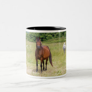 Tasse 2 Couleurs Deux chevaux dans un champ