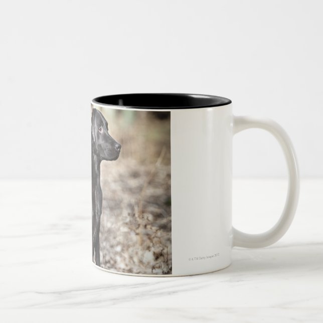 Tasse 2 Couleurs Deux chiens d'arrêt de Labrador noirs (Droit)