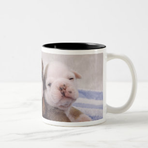 Tasse 2 Couleurs Deux chiots de bouledogue sur la serviette