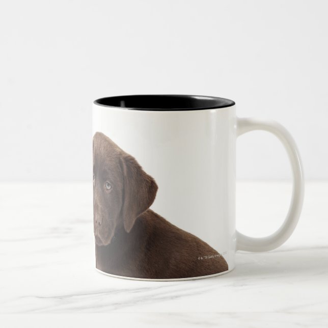 Tasse 2 Couleurs Deux chiots de labrador retriever de chocolat (Droit)