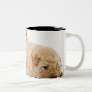 Tasse 2 Couleurs Deux chiots de Shar Pei dormant, tir de studio