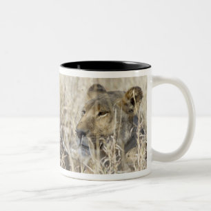 Tasse 2 Couleurs Deux lions cachés dans l'herbe sèche,